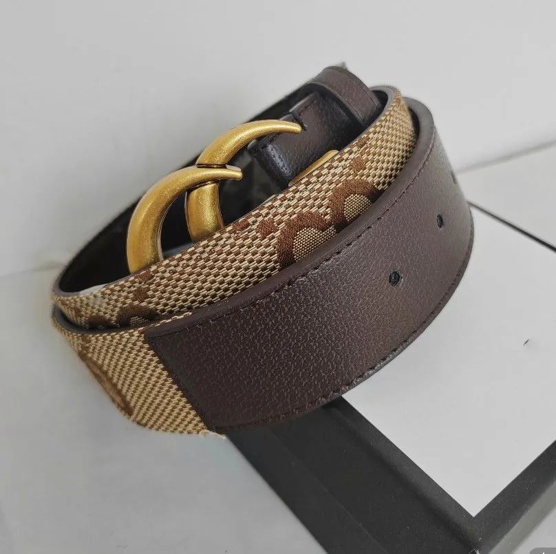 Brown+Gold buckle