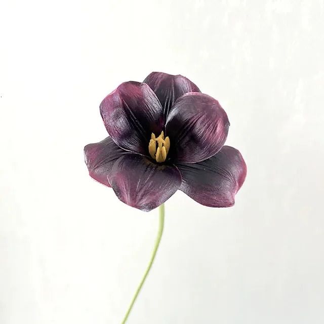 black purple tulips