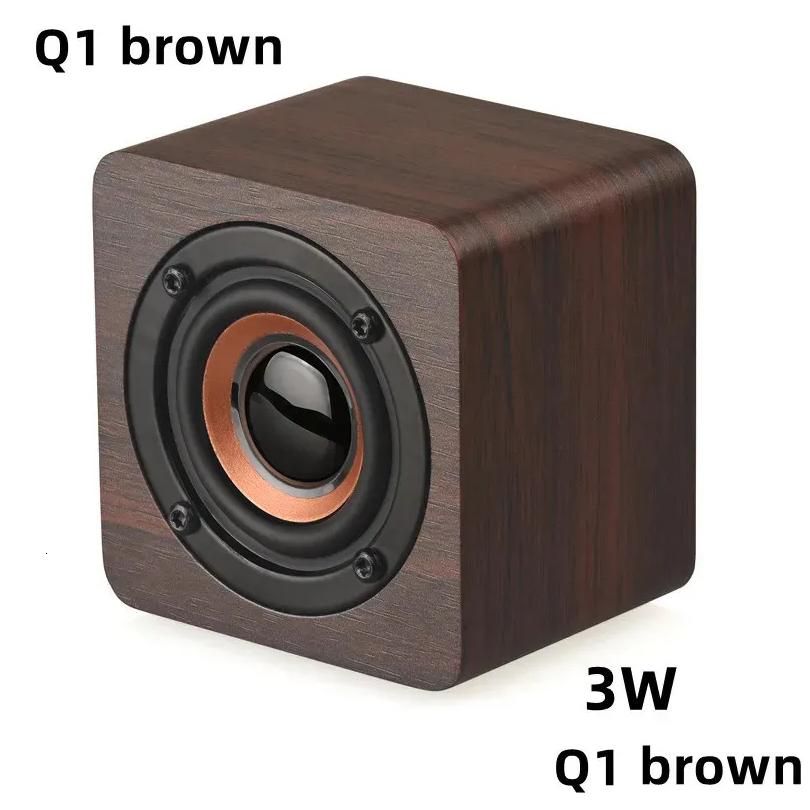 Q1 bruin