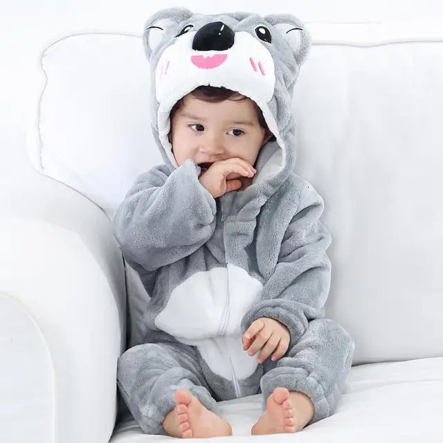 Gray Koala