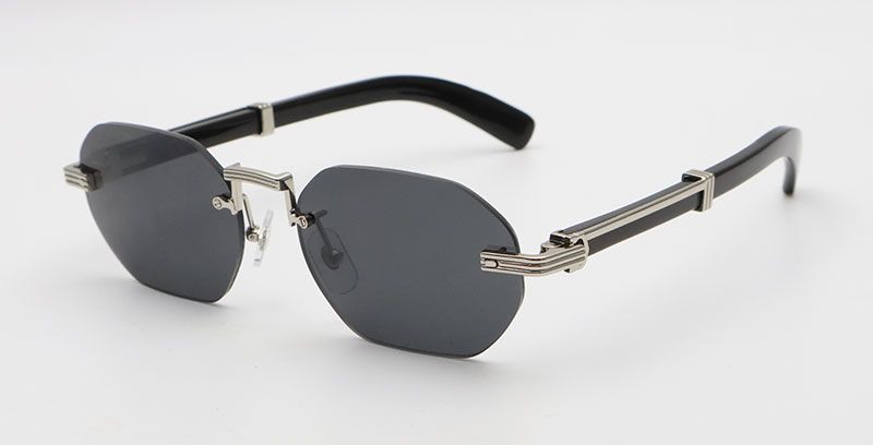 Silver Dark Gray Lens