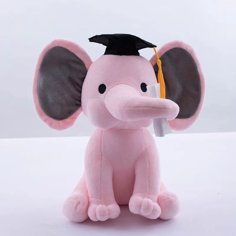 Pink -Graduation