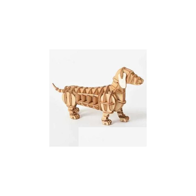 Dachshund