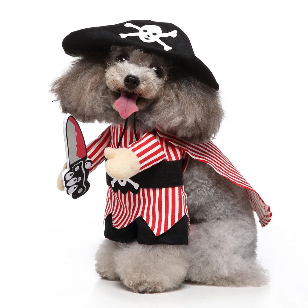 Costume de pirate de couteau