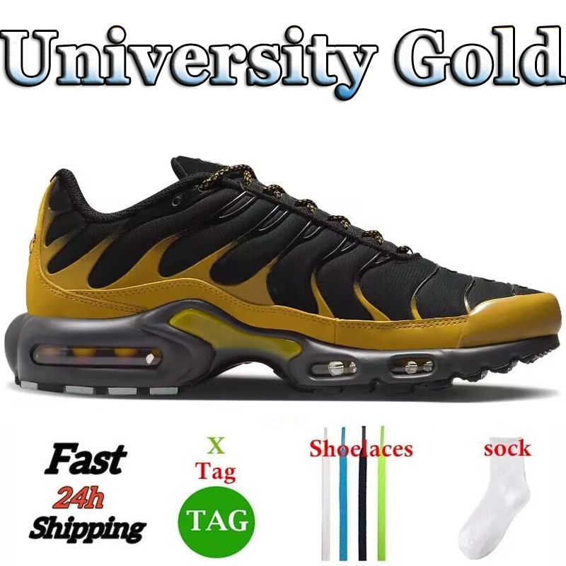 #7 University Gold