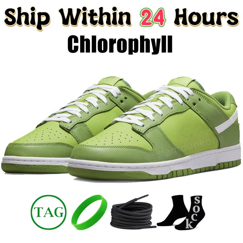 #54- Chlorophyll