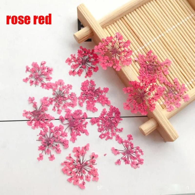 rose red-