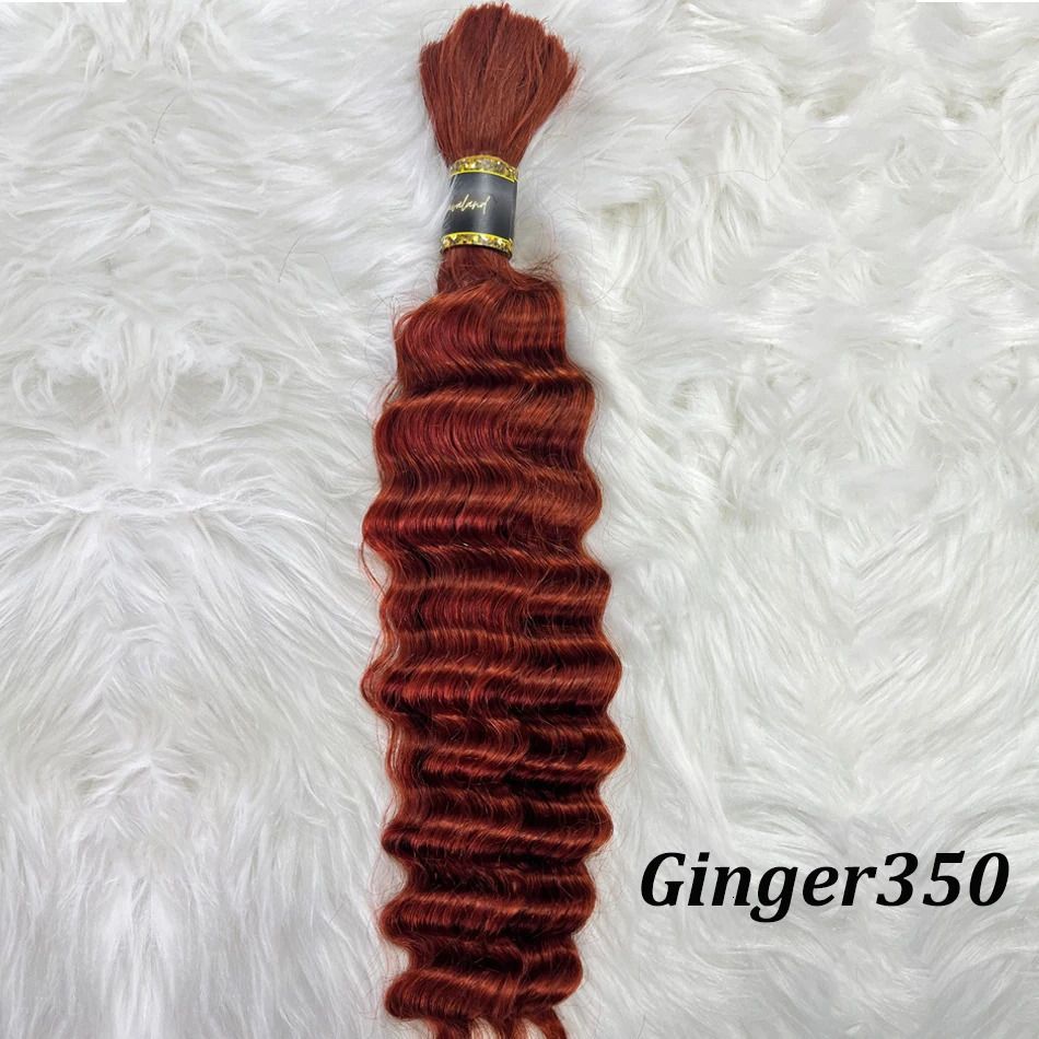 Ginger350