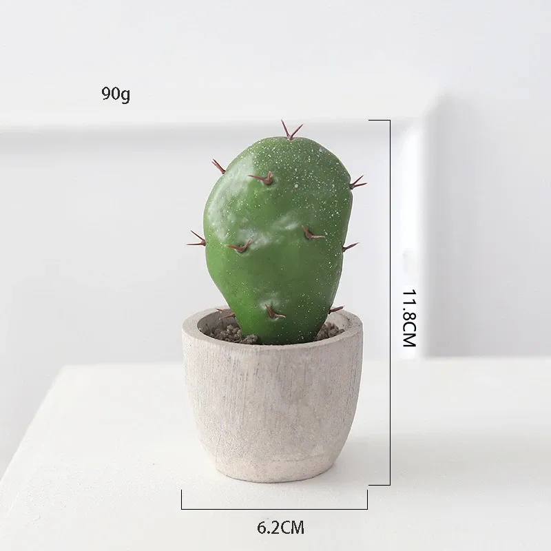 Cactus-B