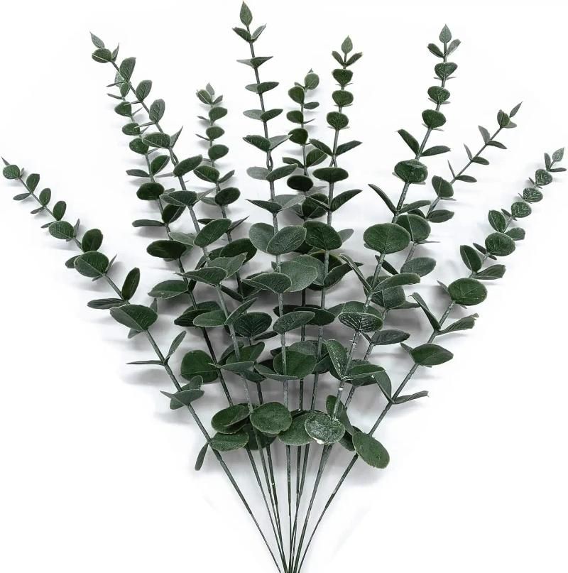 Eucalyptus 10 St