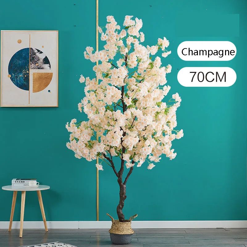 Champagne 70 cm