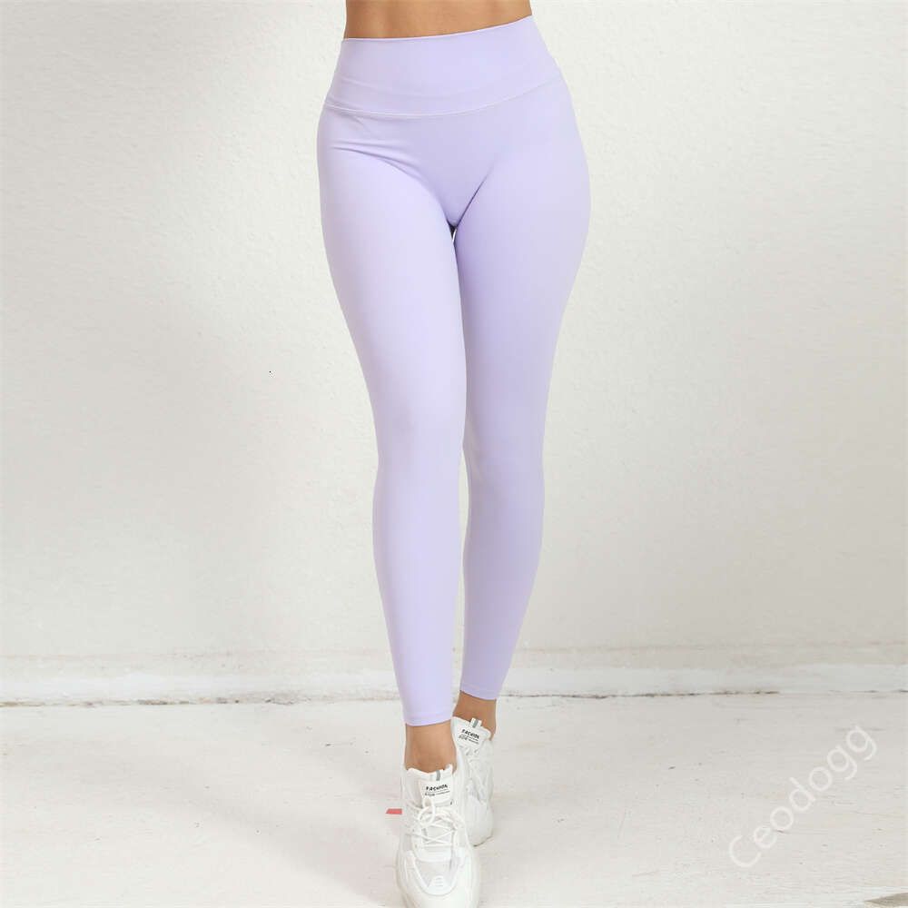 violet pant