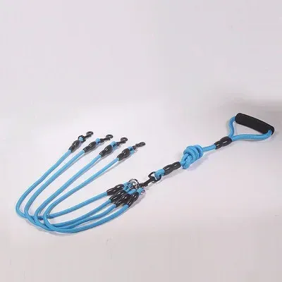 blu quattro corde