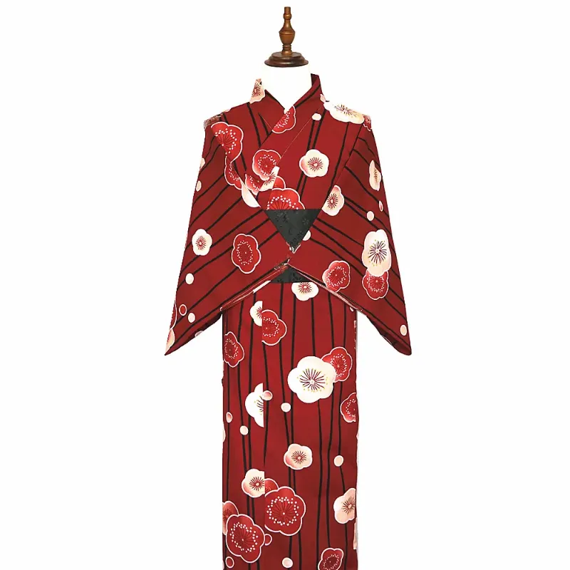kimono con color de cinturón 4