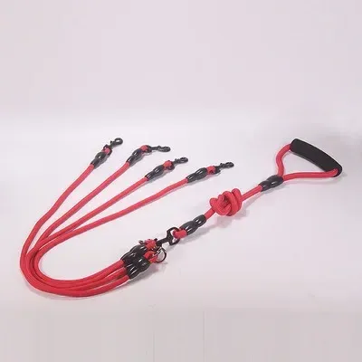 Red quattro corde