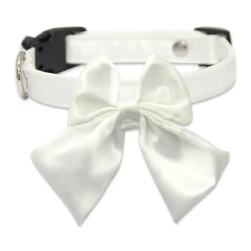 white plastic buckle