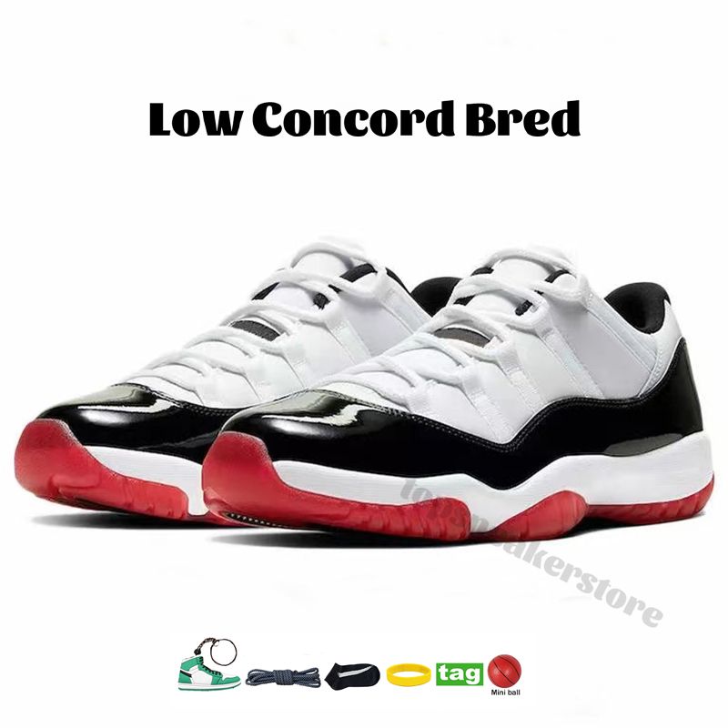 25 Low Concord Bred