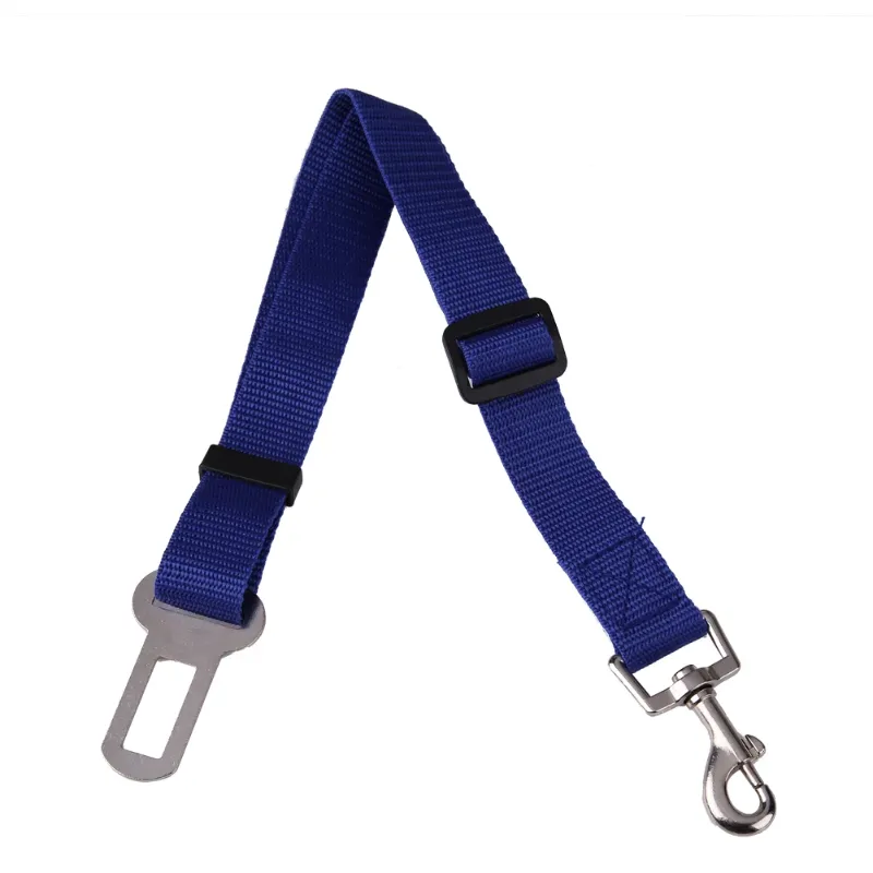 China Blue Leash