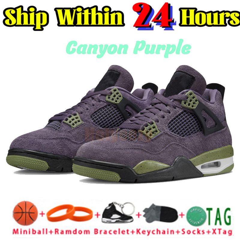 49 Canyon Purple