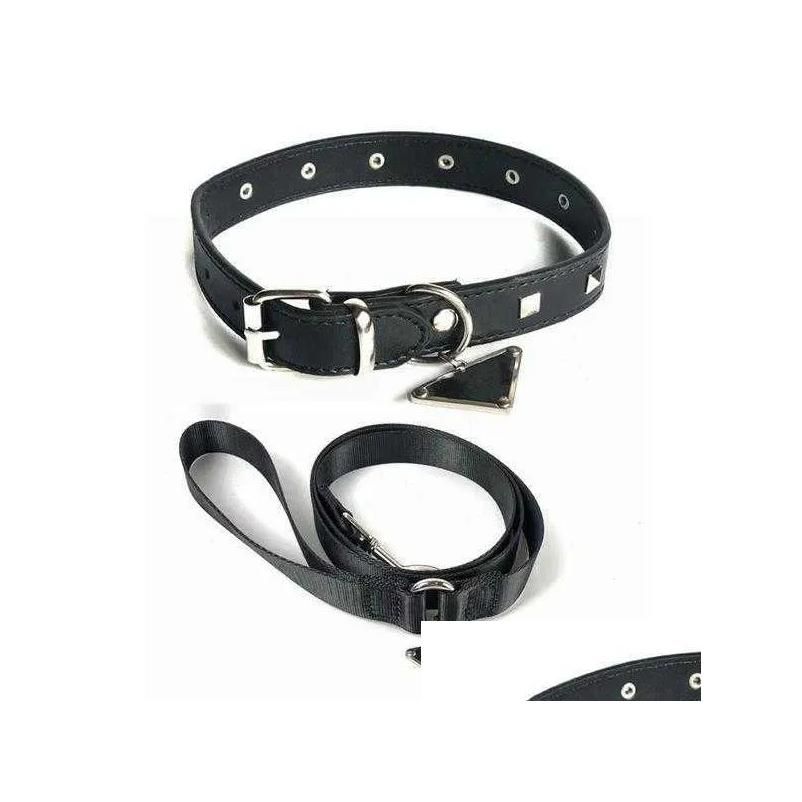 Collar+Leash