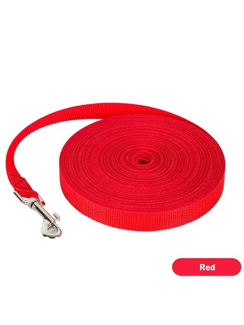 Leash Red Dog