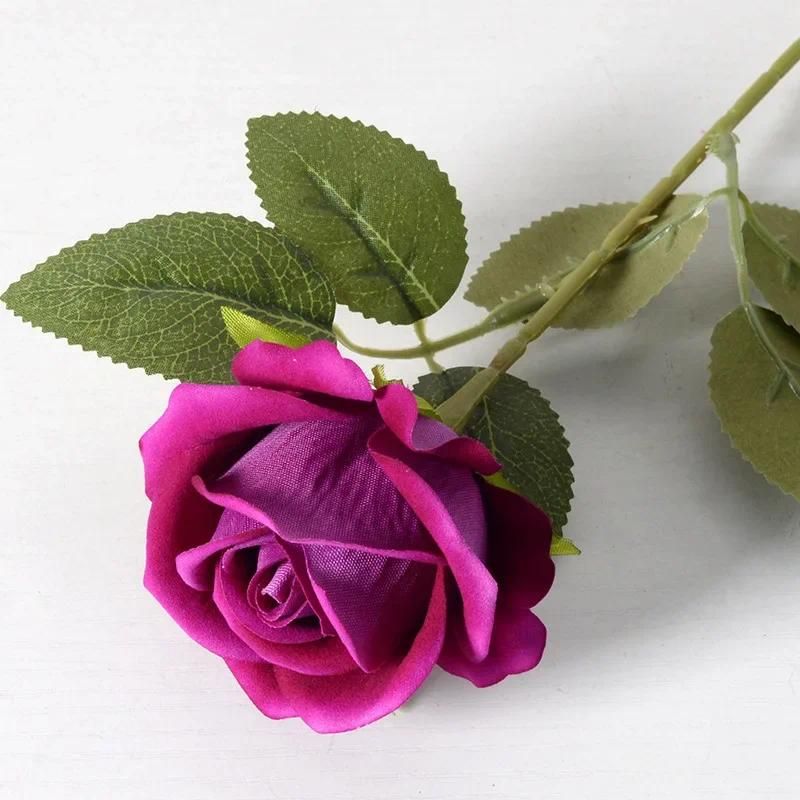 7cm Rose purple