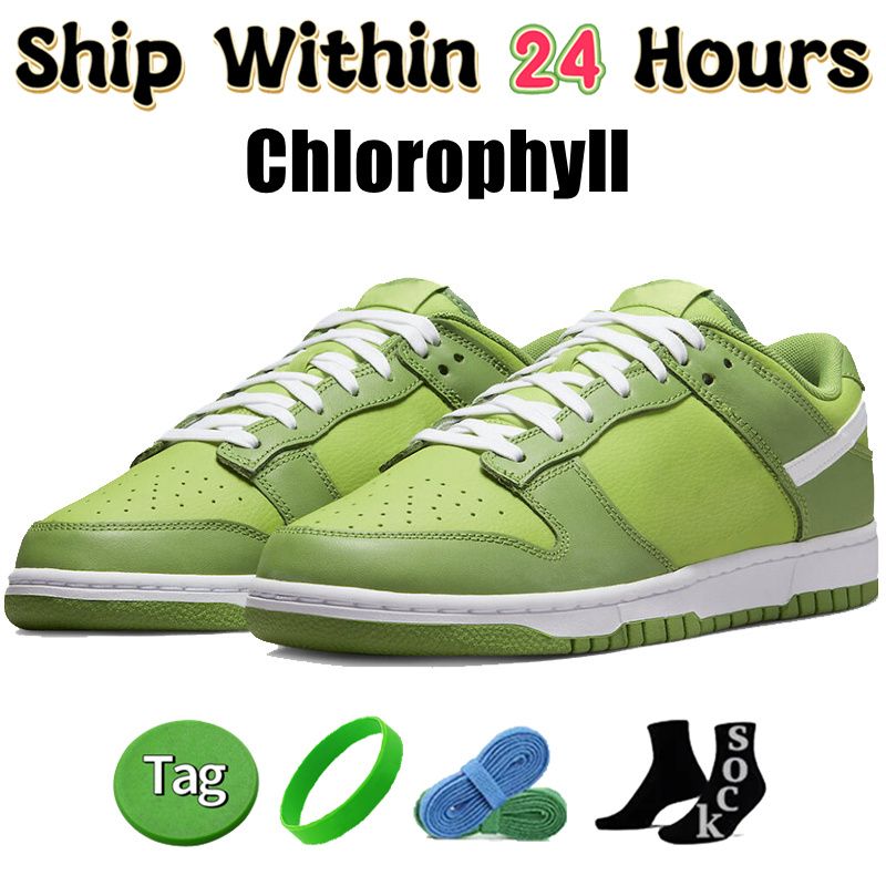 #54- Chlorophyll