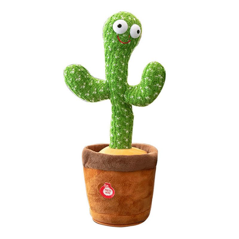 cactus dansant