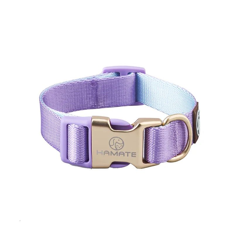 Collar-purple