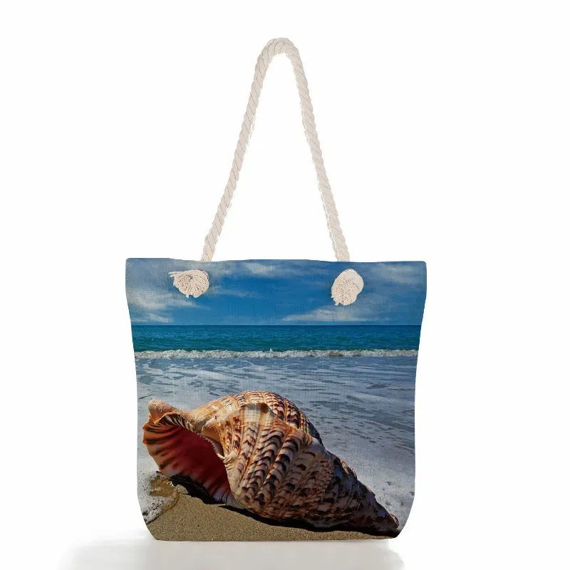 ms4183 Shell-tas