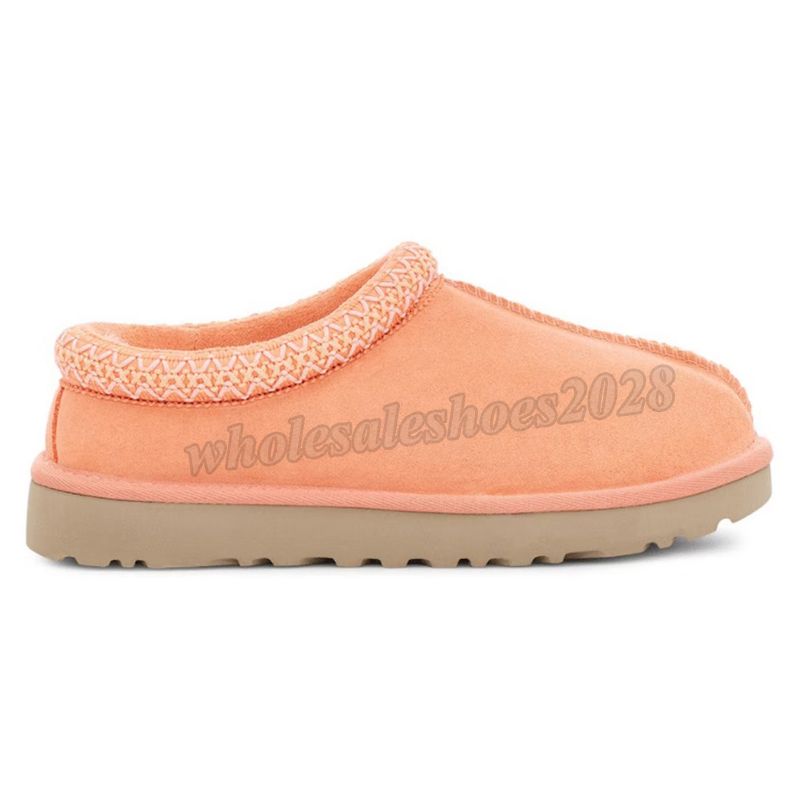 D48 Pamplemousse de Tasmanie 36-43