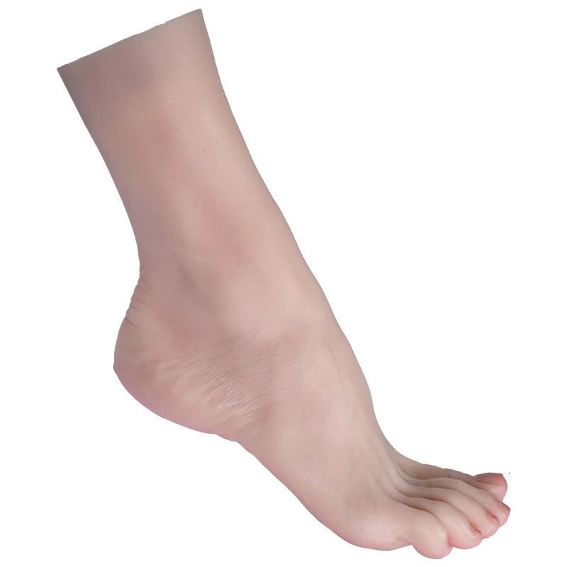 Scheletro del piede destro
