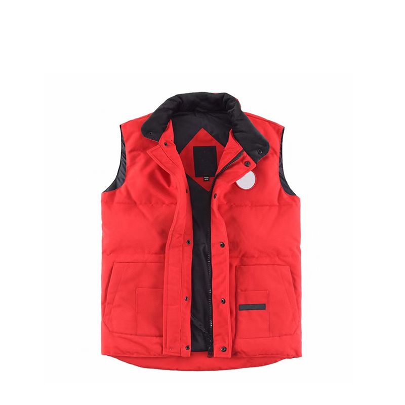 Colore del gilet 8