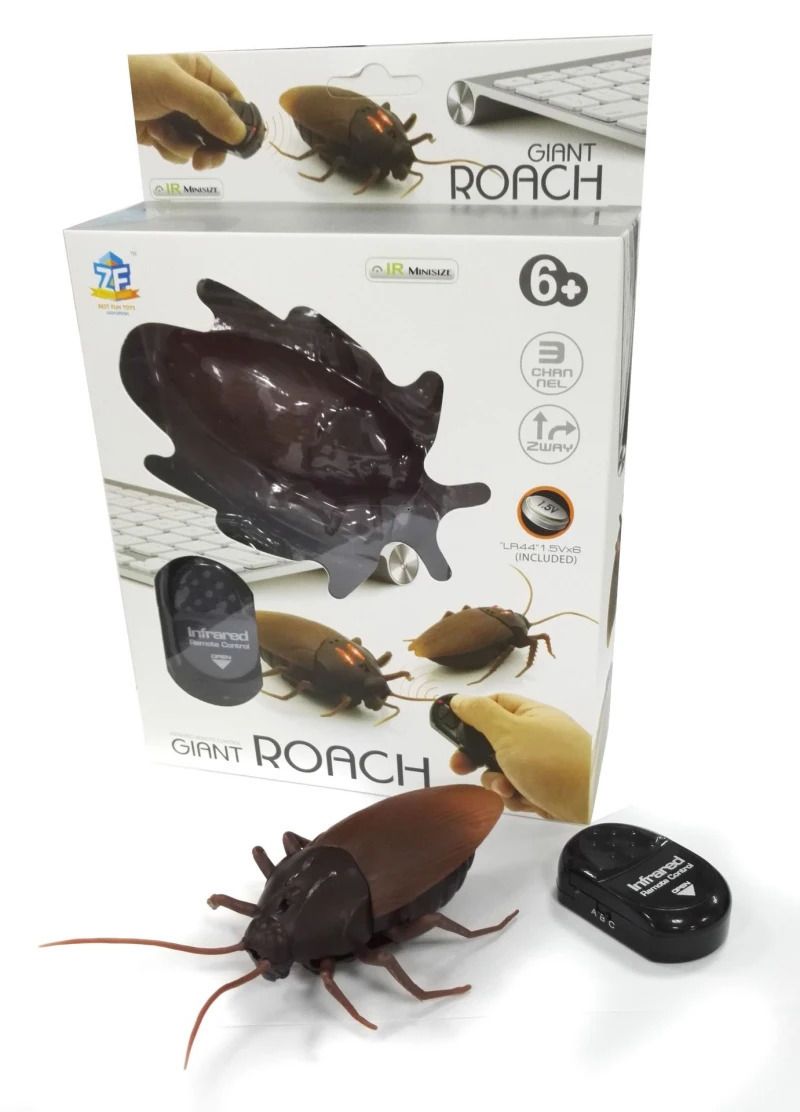 cockroach