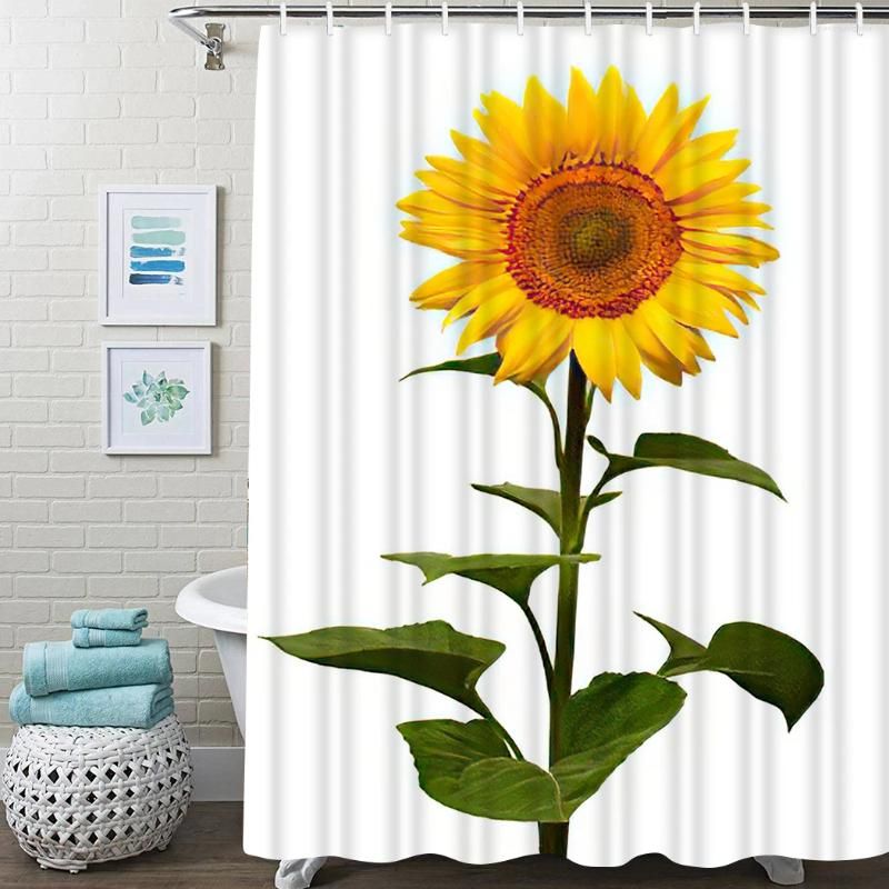 Sunflower White