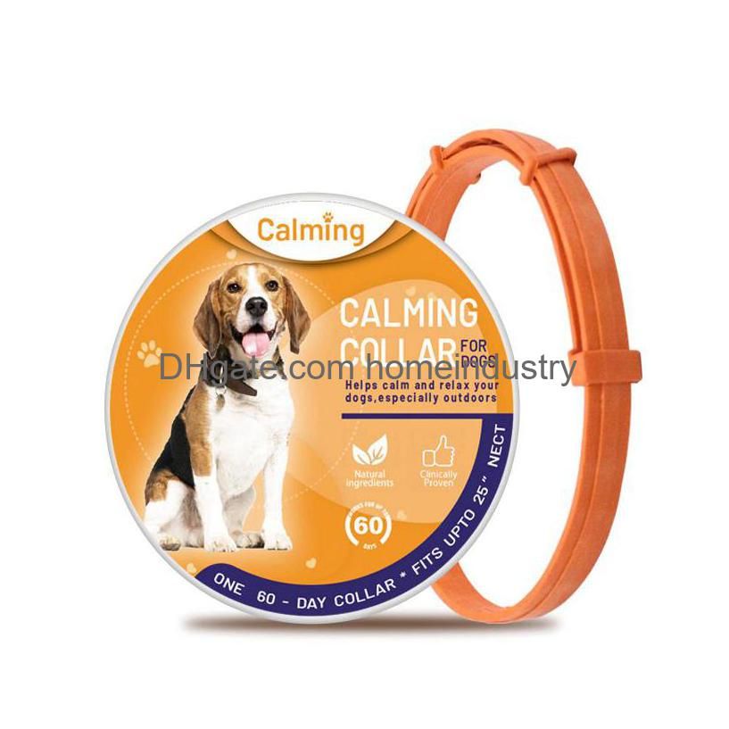 Chien orange