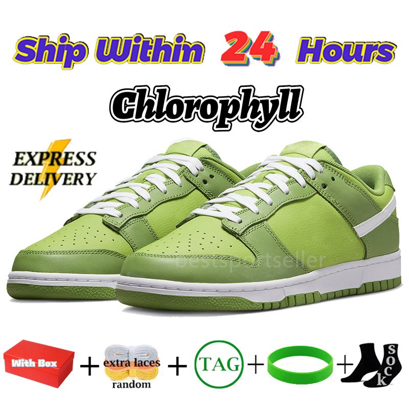 44 Chlorophylle