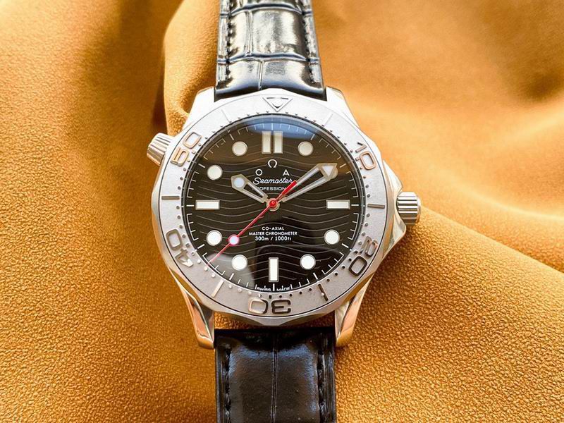 Seamaster Diver 300M_25