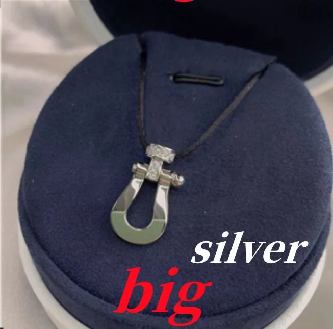 Silver16