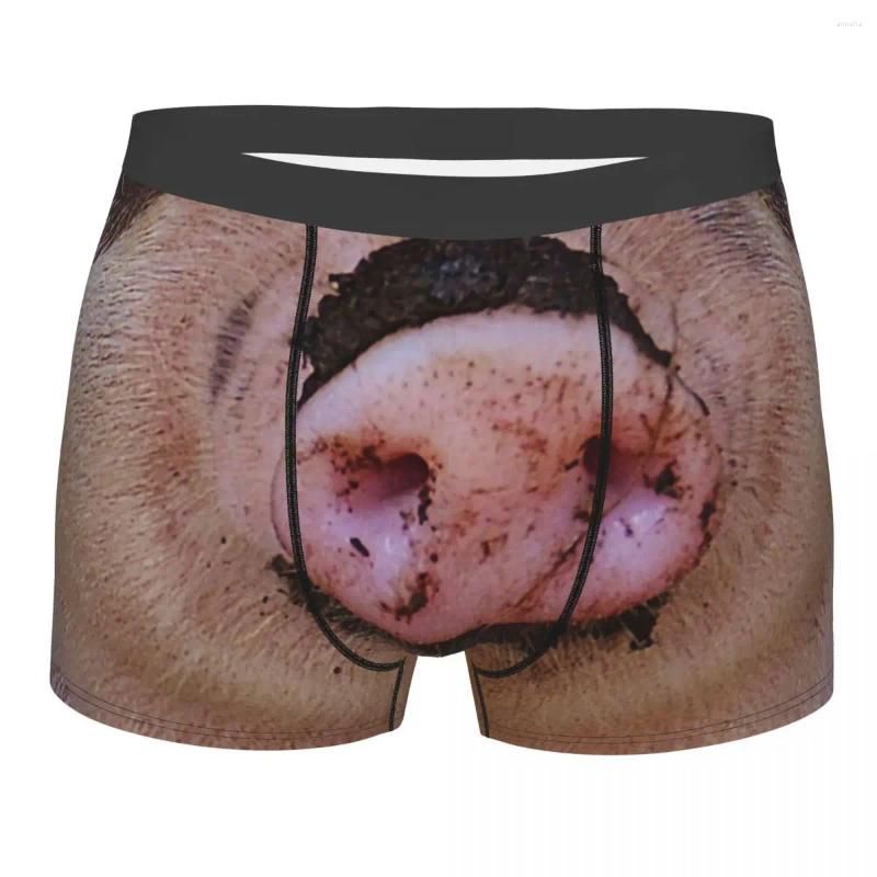 Cuecas boxer