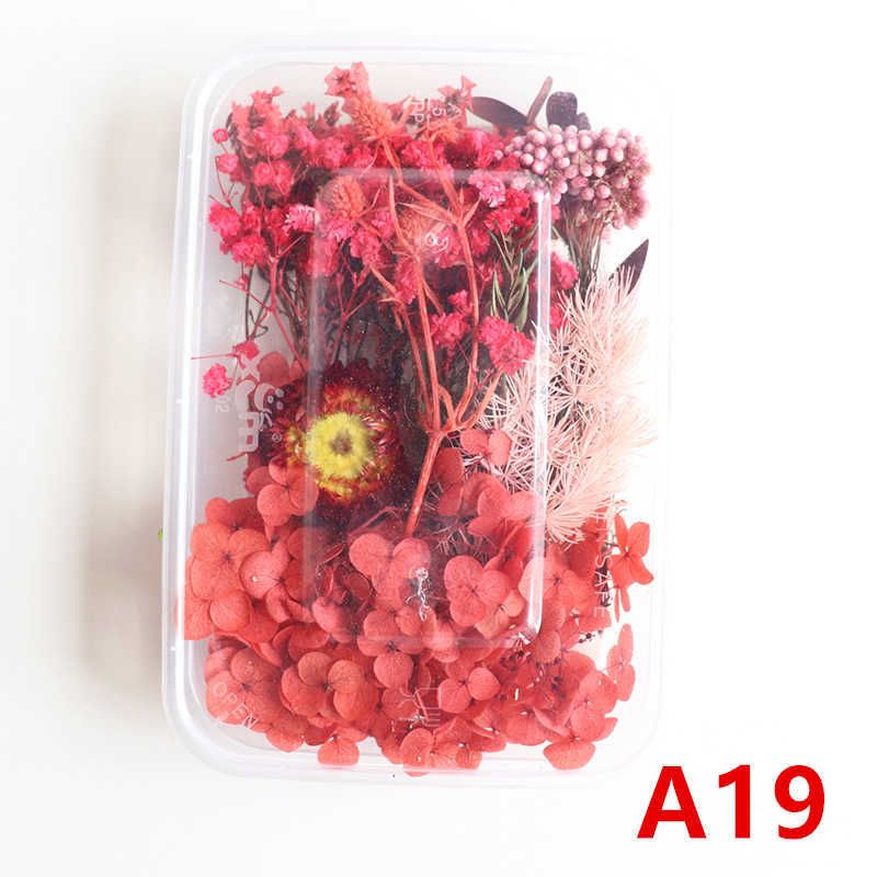 A19