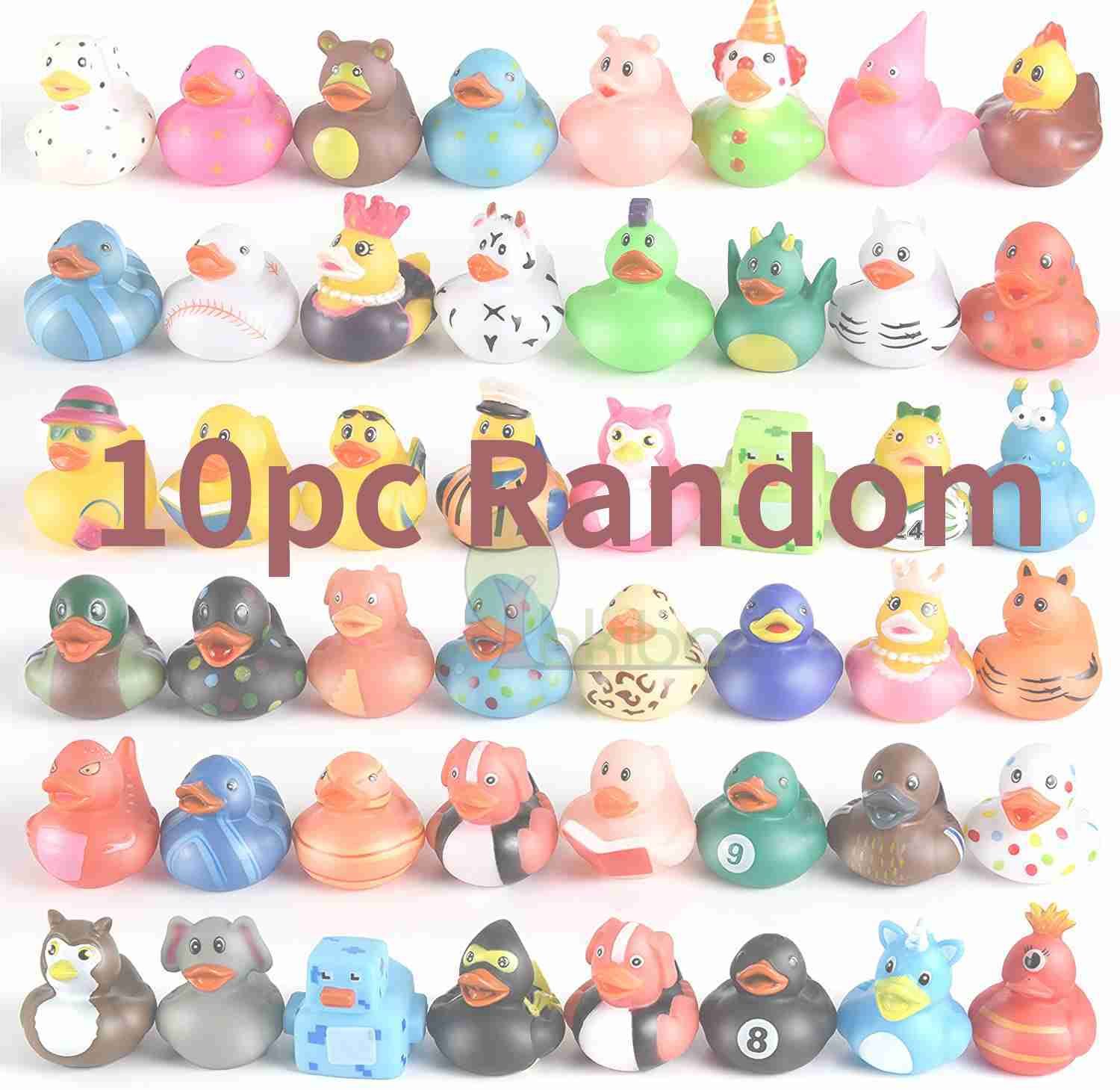 10pc Random Duck