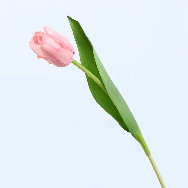 Simulation Tulip 3