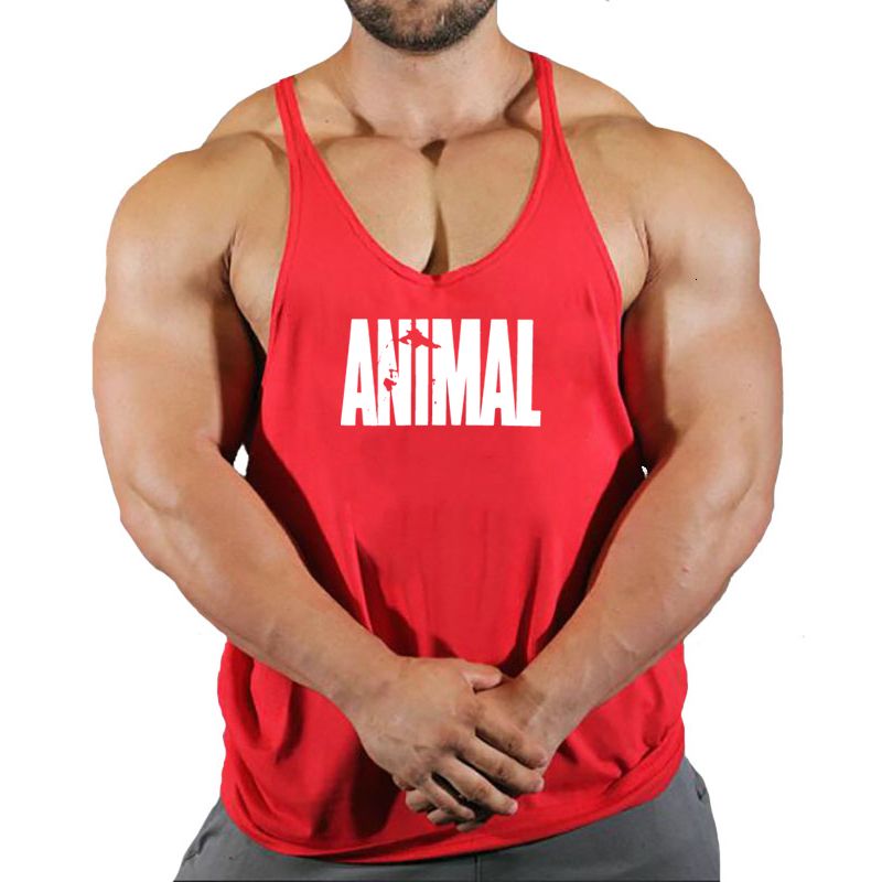 Animal 9