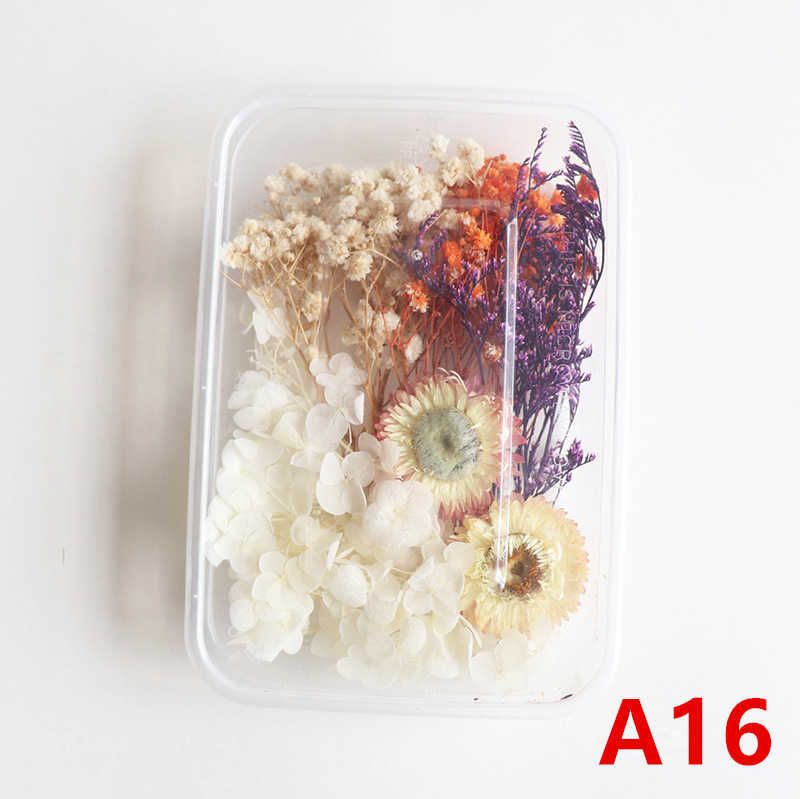 A16