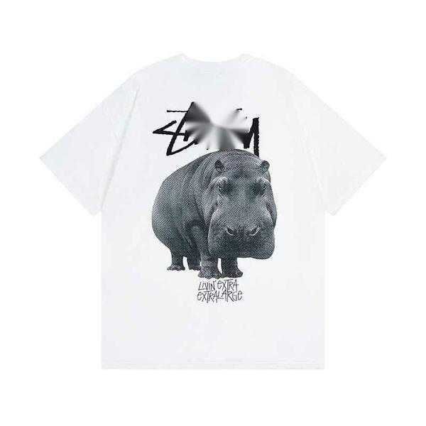 Vit 7-Rhinoceros