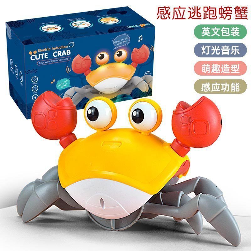 Crabe-orange avec boîte