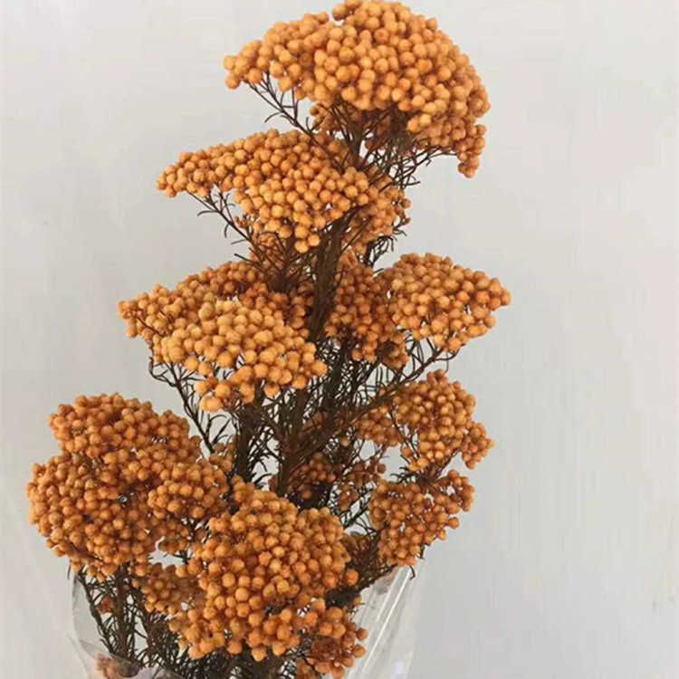 Orange-40-55cm (120-130g)