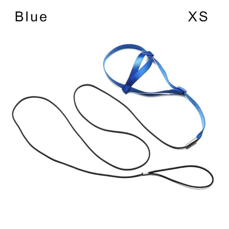 Blue XS