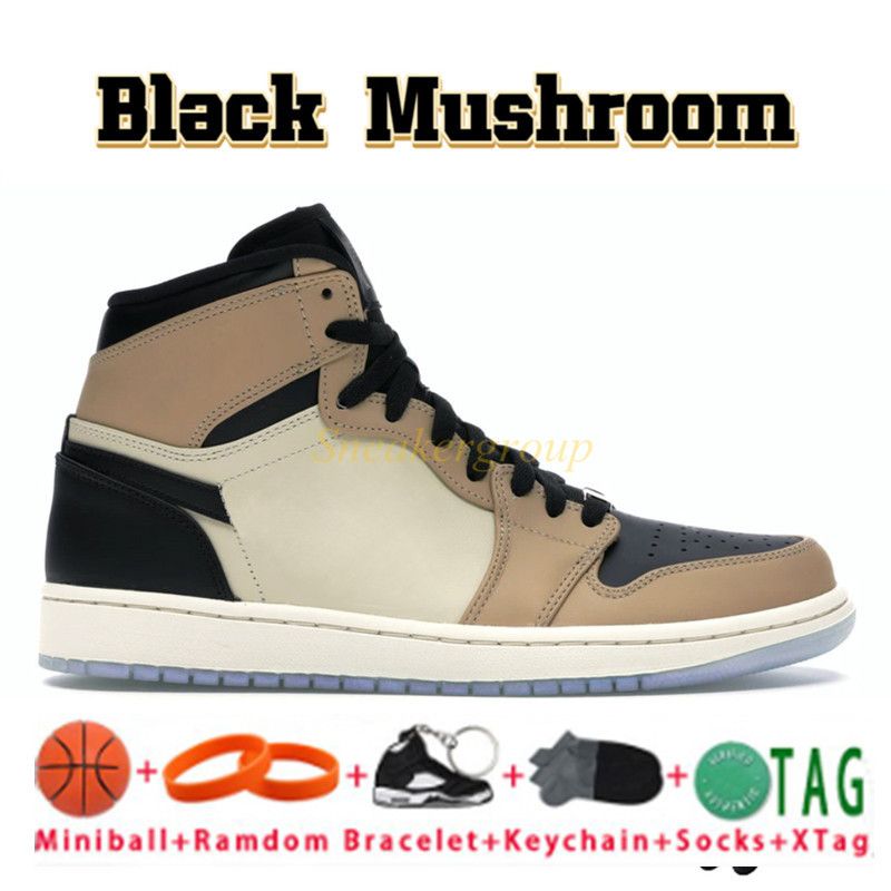 25 Black Mushroom